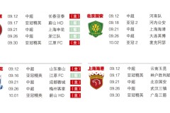 国足公开选聘主教练，成都蓉城主教练徐正源会去应聘吗